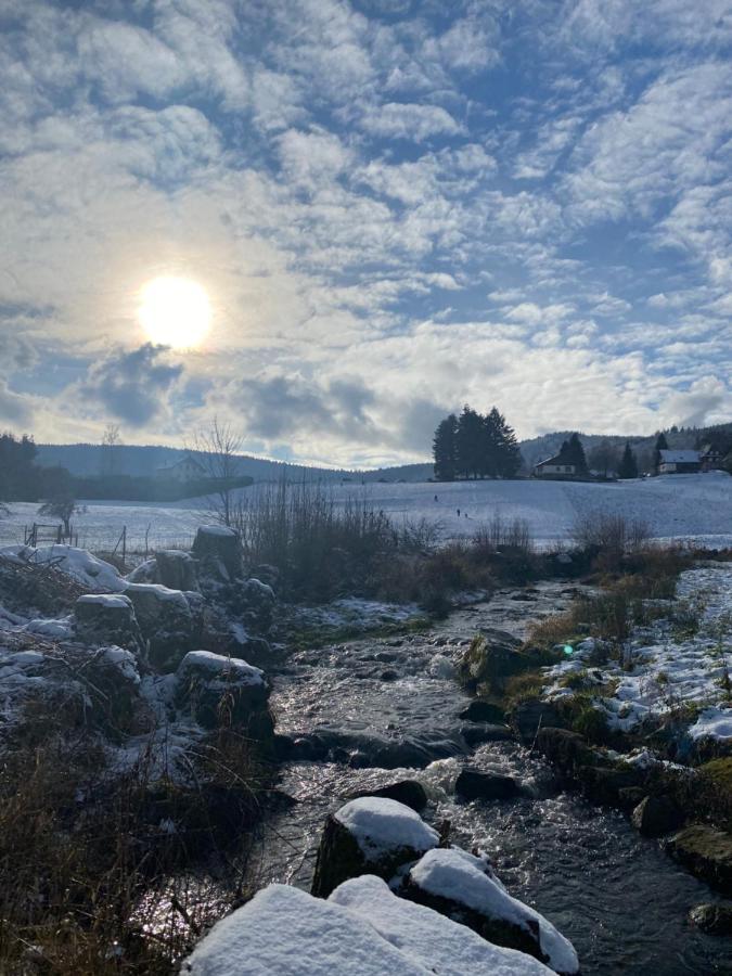 Gite Au Cours D'Eau Le Hohwald Exteriér fotografie